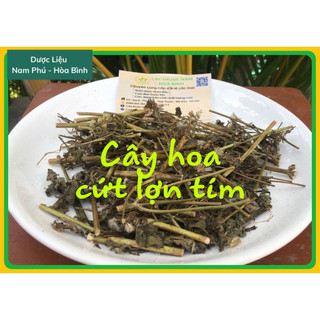 1kg hoa cứt lợn tím - hoa ngũ sắc, cỏ hôi giá sỉ