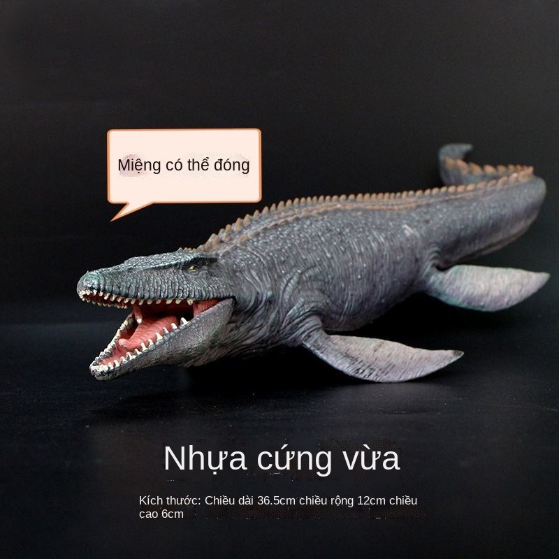 ▩Kỷ Jura rắn Mosasaurus vua biển rồng megalodon mô phỏng động vật mô hình đồ chơi trẻ em món quà thế giới khủng long nam