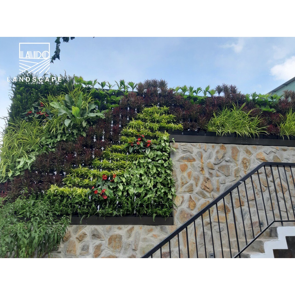 Module vườn tường  - Quốc Đoàn Loan Agri