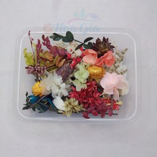 Hoa Khô Cài Tóc Cô Dâu - Set 15 Cành NGẪU NHIÊN KO LỰA CHỌN