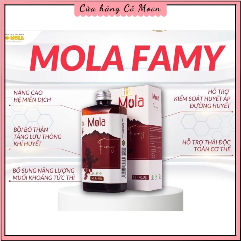 Mật Ong Lên Men MOLA FAMY - Mật ong lên men Hồng đẳng Sâm, Gừng Chanh Tỏi Sấy Lạnh - Bổi bổ sức khỏe, Nâng Cao miễn Dịch