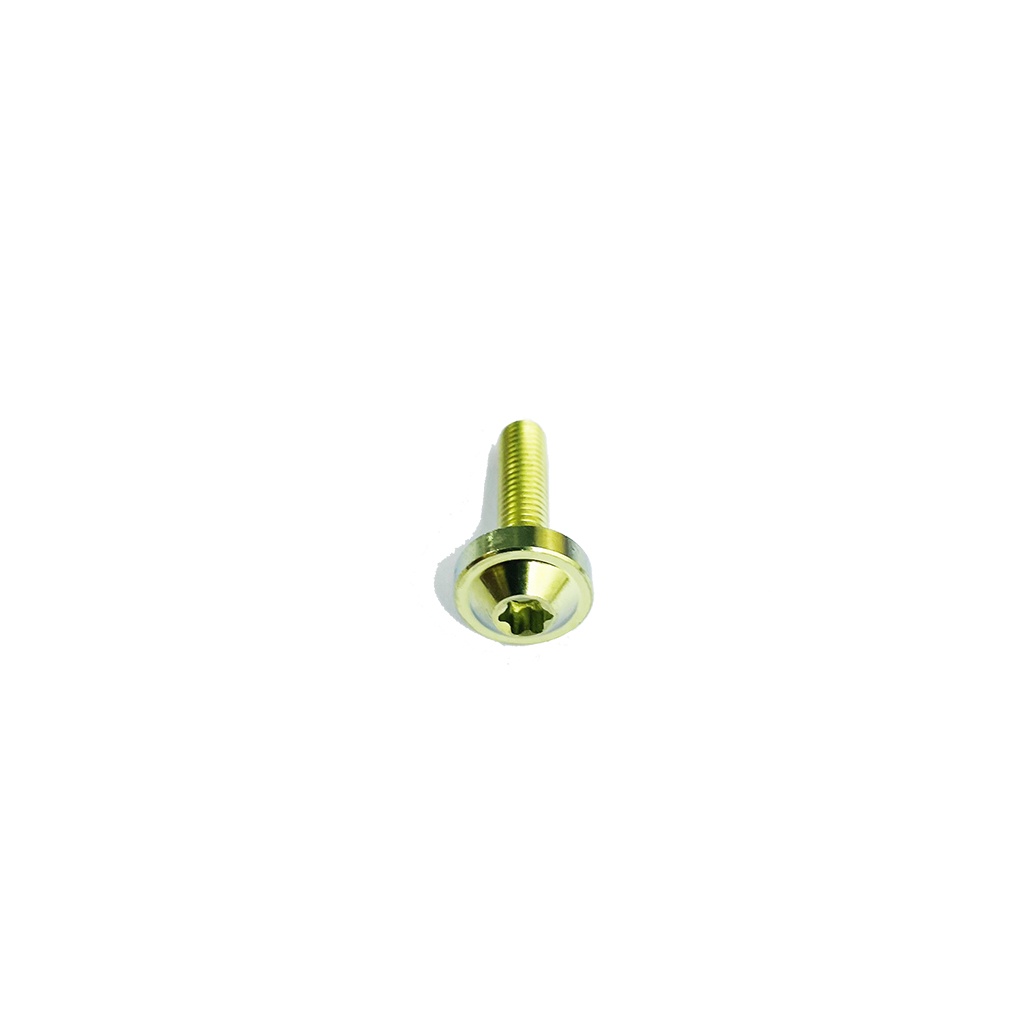 Ốc Titan GR5 5li20 Đầu Dù Gắn bợ cổ Winner, Đồng hồ Winner X,baga winner-PKPH