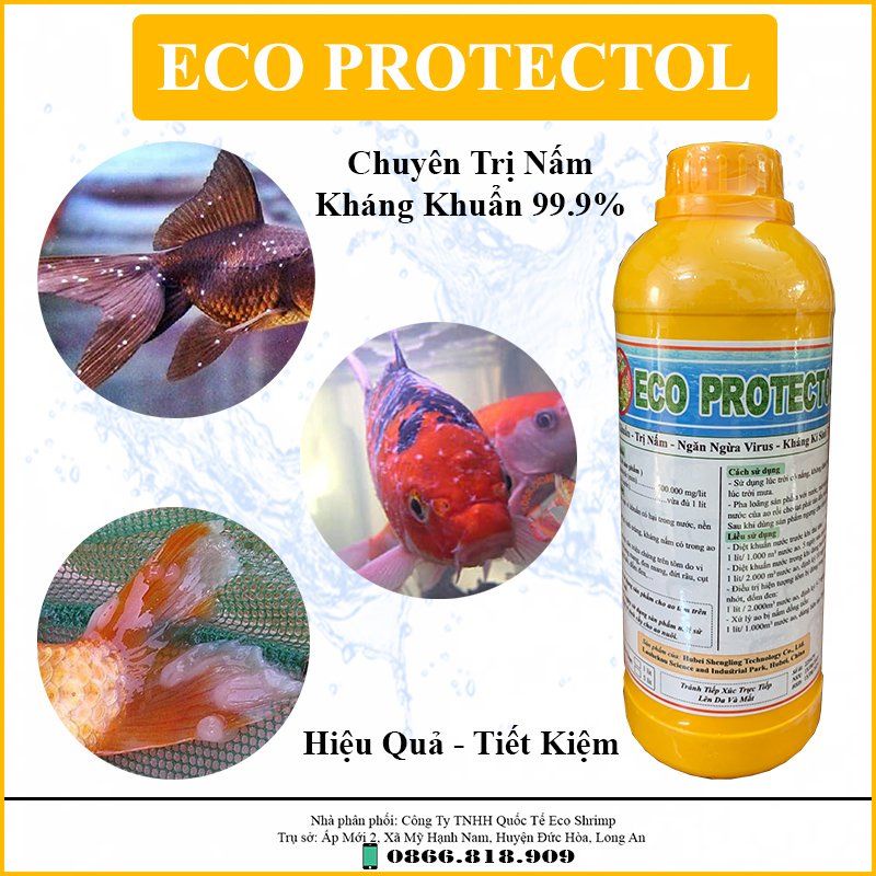 Eco Protectol Kháng Khuẩn - Xử Lý Nấm Trắng Cá -  Thối Vây - Ghẻ Thân Cá Chai 1 Lit
