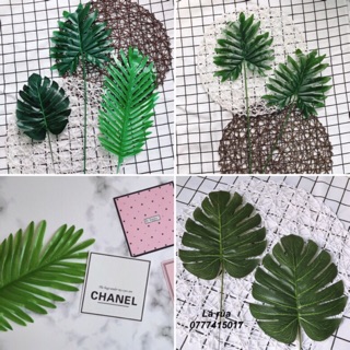 Lá rùa trang trí - đạo cụ chụp ảnh