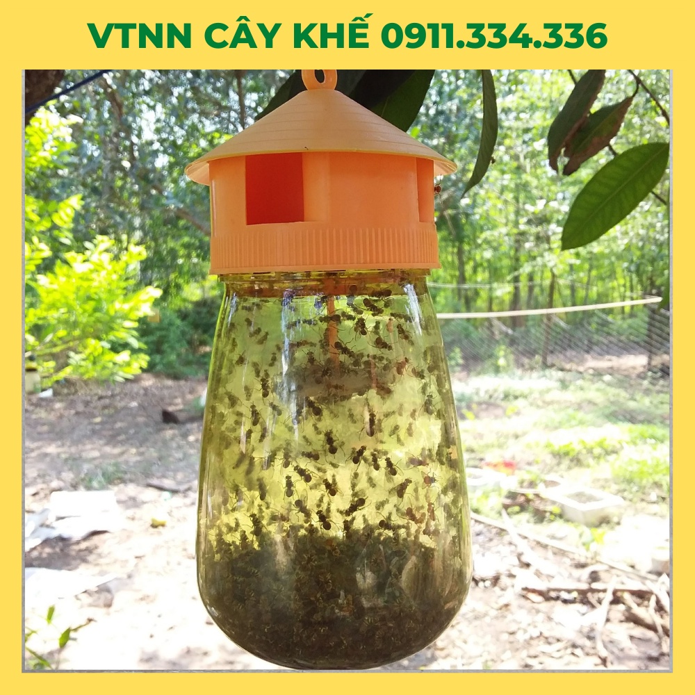 Bẫy Ruồi Vàng - Combo 5 bộ bẫy