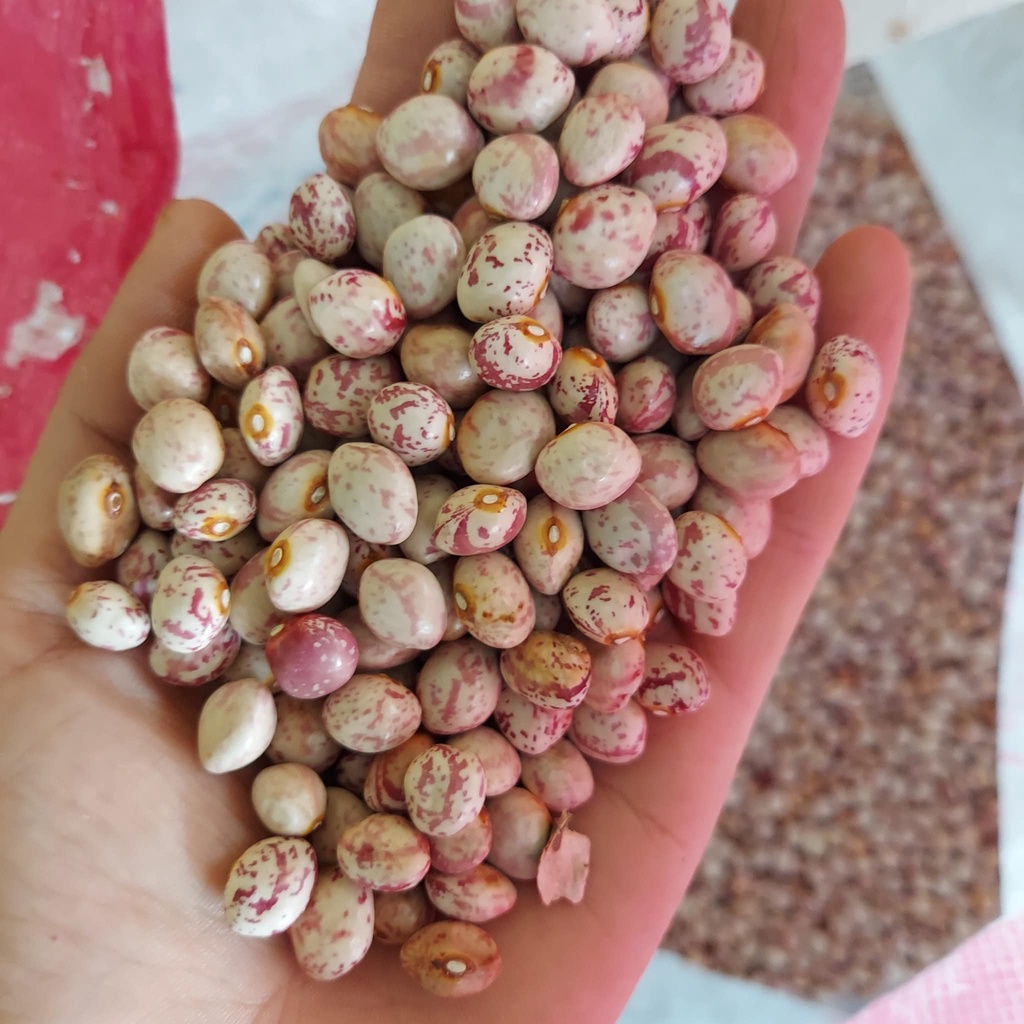 1kg đậu cúc hàng sạch ko chất bảo quản túi hút chân không