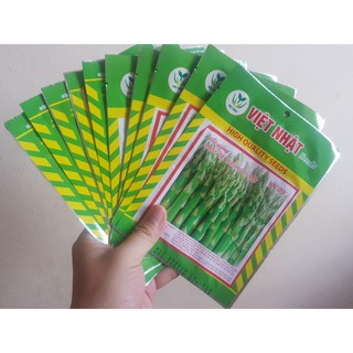 Hạt giống măng tây xanh cao sản VN 09