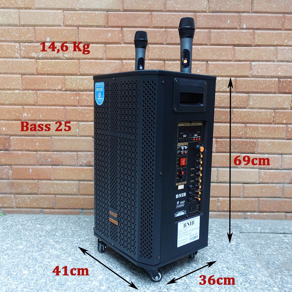 Loa Kéo Karaoke BNIB 1299 Bass 30 New 2022 | Loa Kéo Cao Cấp, mic chống hú, Nhạc bass Trầm | Bảo hành 12 tháng