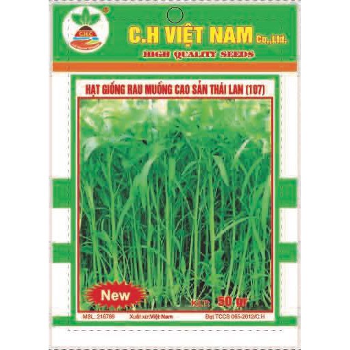 HẠT GIỐNG RAU MUỐNG CAO SẢN THÁI LAN (107) H4