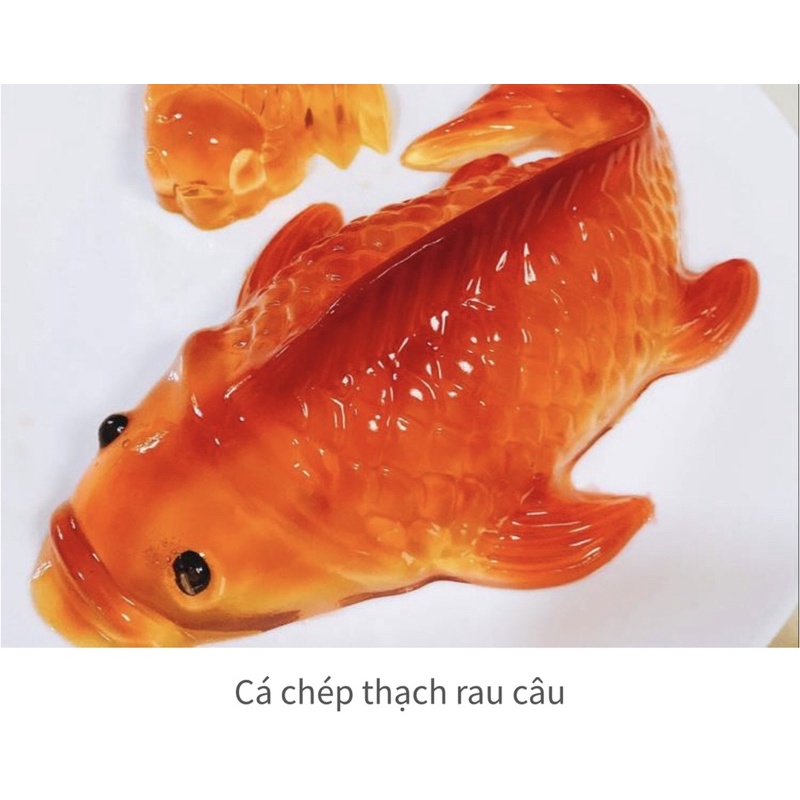 Khuôn Rau câu cá chép lẻ 25x12.5x7cm