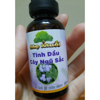 Tinh dầu cây hoa ngũ sắc ( hoa cứt lợn, cỏ hôi )