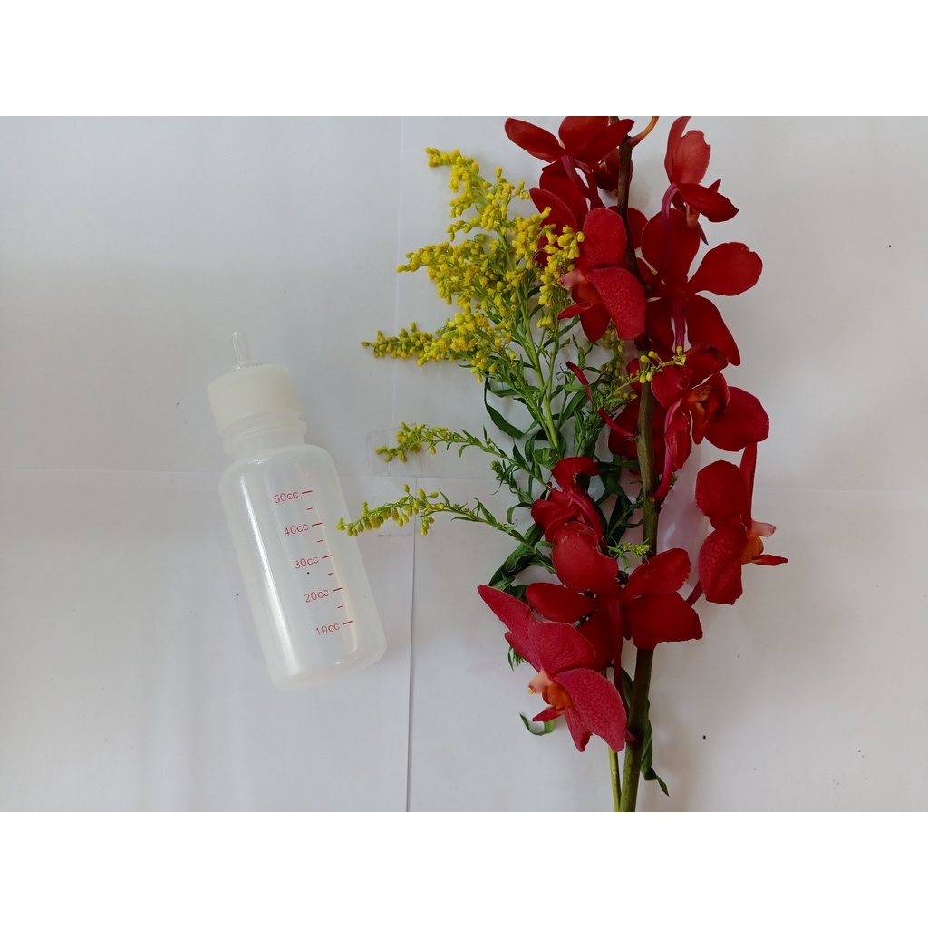 BÌNH BÚ SỮA CHO CHÓ MÈO CON ( BÌNH LẺ )
