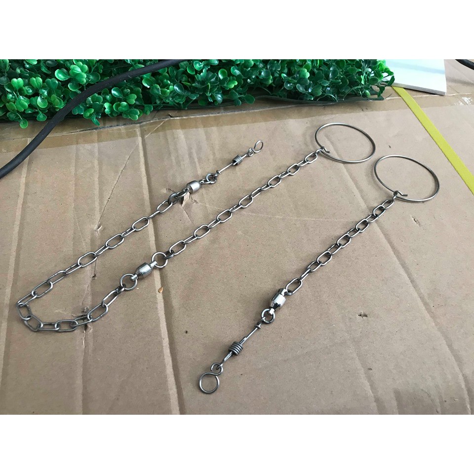 Xích chân cho vẹt xám và vẹt xích