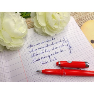🌷 Bút máy luyện chữ đẹp Thầy Ánh Sh066