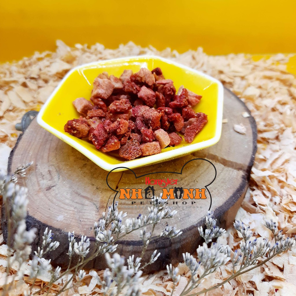 Thức ăn dặm cho hamster