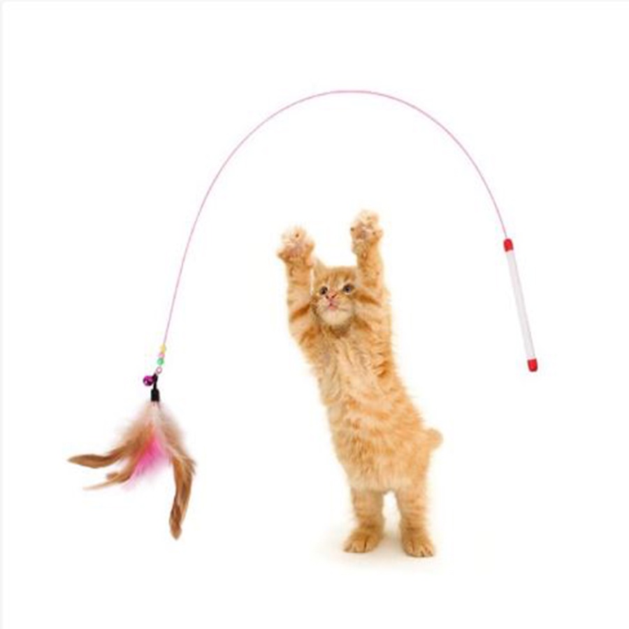 Cần câu mèo dây thép gắn lông hỗ trợ vận động, Đồ chơi gắn lông cho thú cưng, Gậy lông vũ cho mèo H94