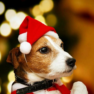MŨ ĐỘI ĐẦU NOEL GIÁNG SINH CHO CHÓ MÈO NHỎ DƯỚI 8KG