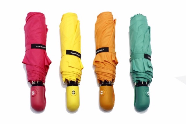 Ô cá nhân tự động Tiross TS1516 nhiều màu