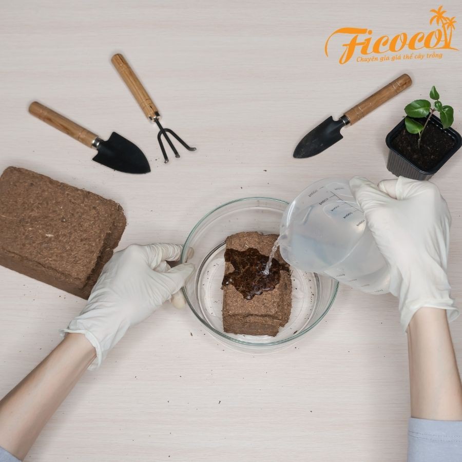 Viên nén xơ dừa trồng cây đã xử lý COCOHI! - FICOCO - Mùn dừa trồng cây viên nén