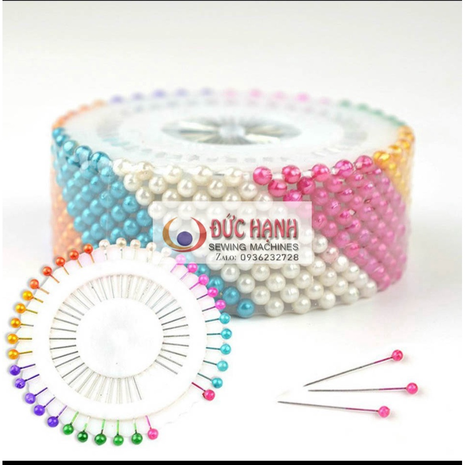 KIM GIM VẢI - KIM CÚC 1 VỈ 40 CÂY KIM