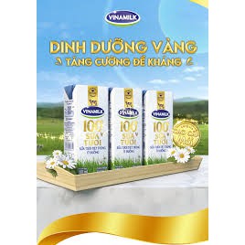 SỮA TƯƠI TIỆT TRÙNG VINAMILK 100% - HỘP GIẤY 1L