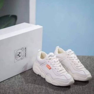 Thể thao gấu có ảnh thật