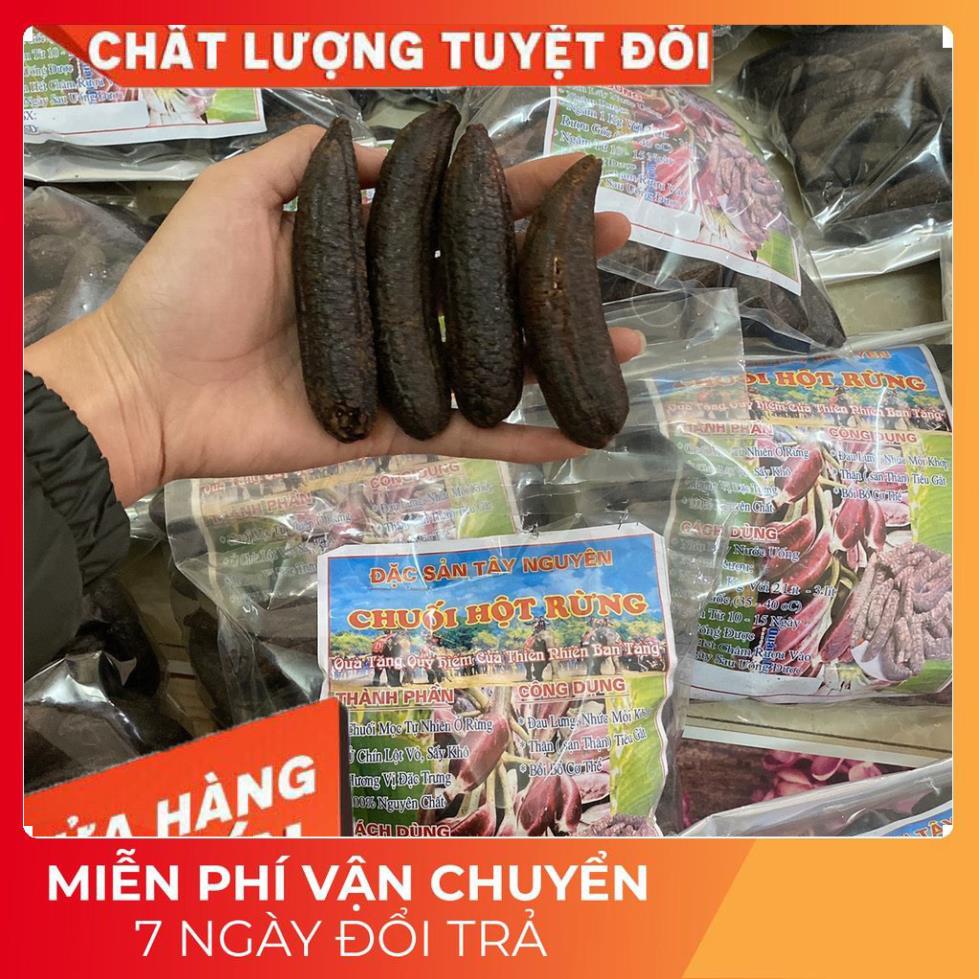 (Dược Liệu Quý) 1kg Quả chuối hột rừng Tây nguyên 🍀FREESHIP🍀Nguyên Quả Phơi Khô Tự Nhiên Chuẩn 100% | BigBuy360 - bigbuy360.vn