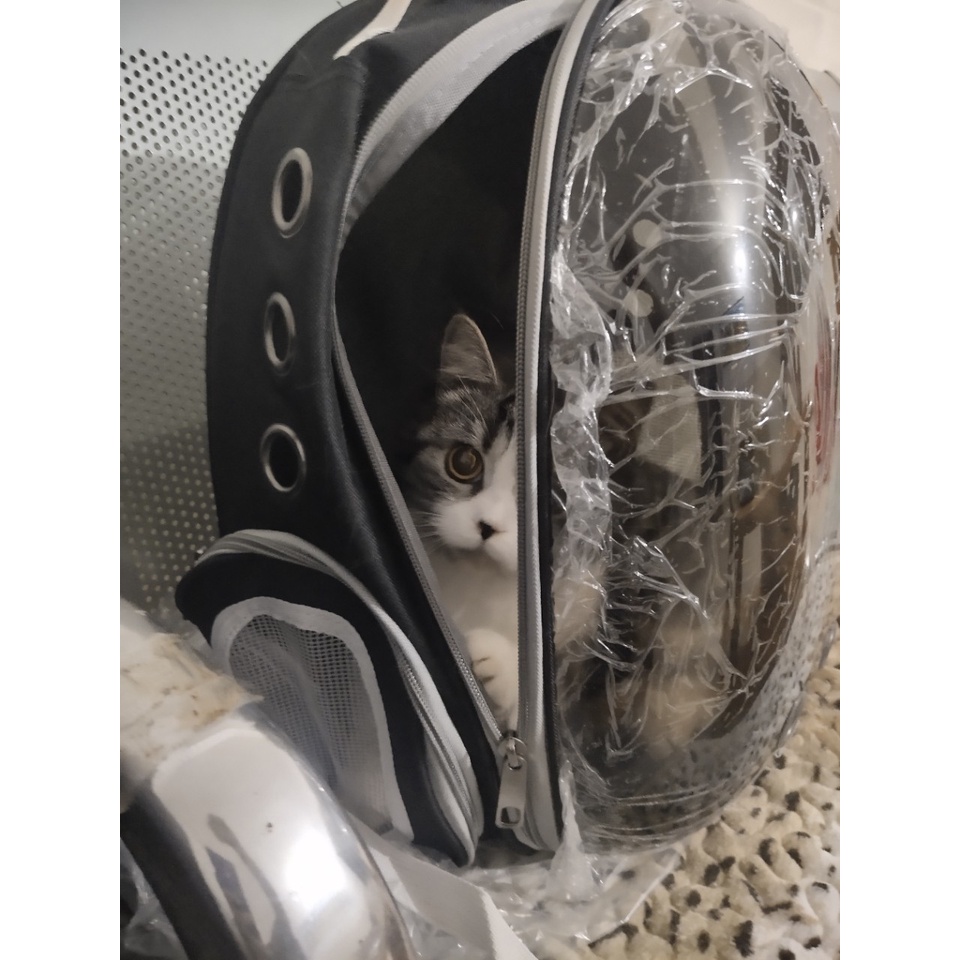 Balo phi hành gia trong suốt cho thú cưng, Balo cho chó mèo