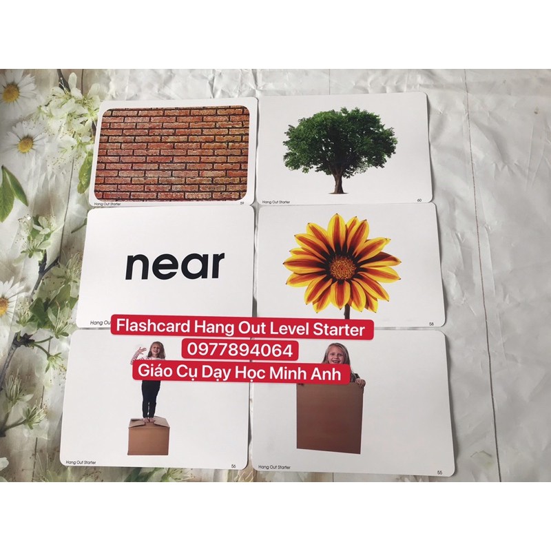 Flashcard  Tiếng Anh Hang Out Level Stater