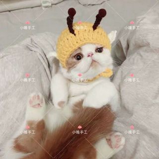Mũ len cho thú cưng handmade