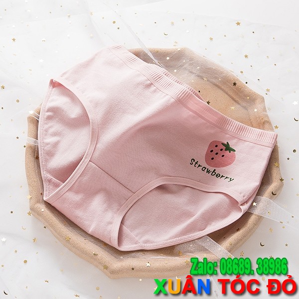 SỈ ZALO RẺ HƠN NHIỀU_ Quần Lót 5 Kiểu Dâu Tây Hồng Mới 5048 | BigBuy360 - bigbuy360.vn