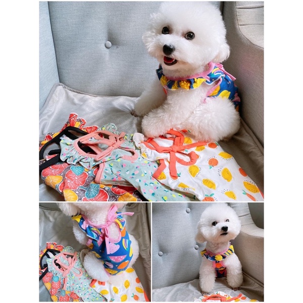 Bikini cho thú cưng/Quần sinh lý liền thân cho cún cái