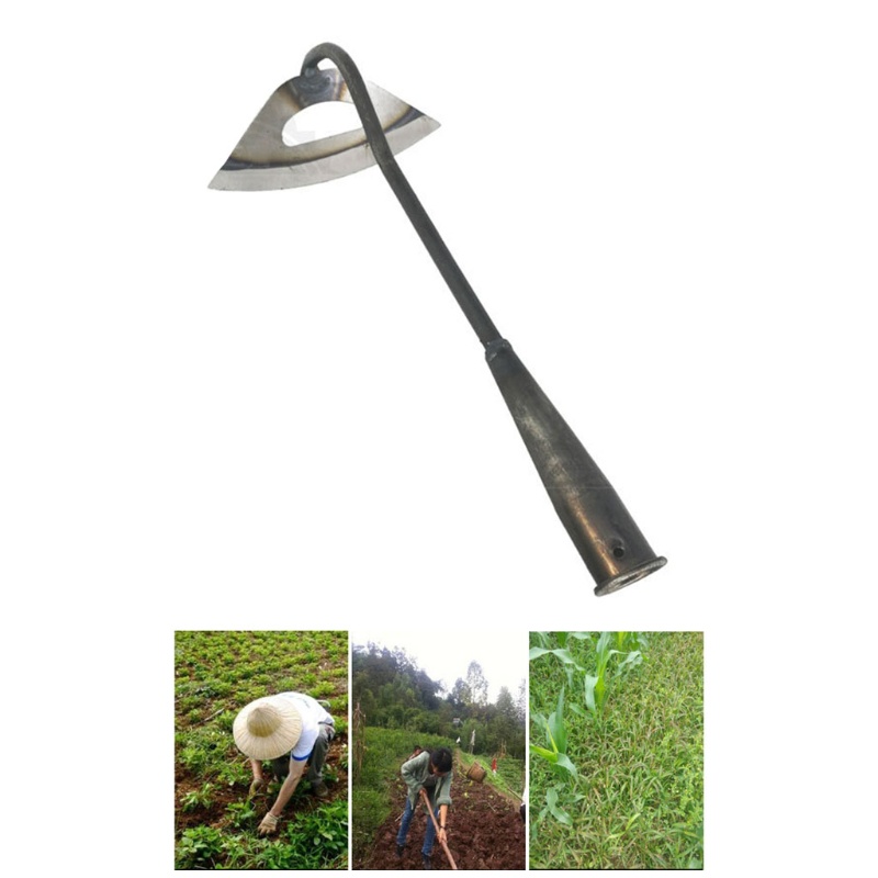 Cây Cảnh Cầm Tay Dạng Rỗng Cứng Khoét Rỗng Toàn Diện Dùng Làm Vườn Và Làm Vườn