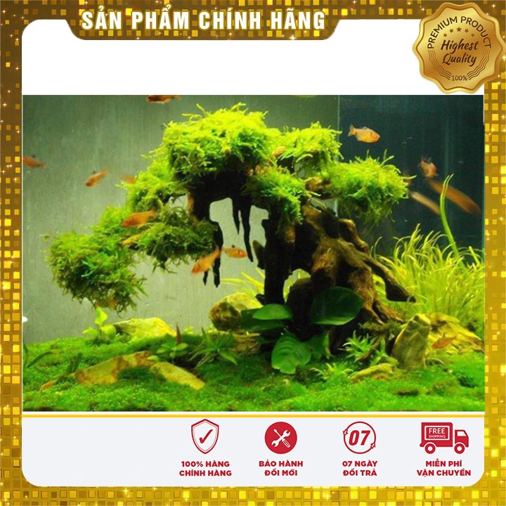 Dung dịch thủy canh dành cho cây kiểng loại 1