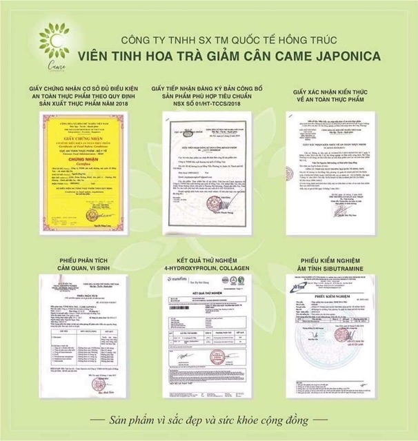 Viên uống tinh hoa trà came japonica