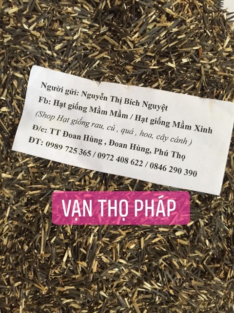 Vạn thọ pháp mix màu 50k/1.200 hạt