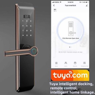 Khóa cửa Thông minh E206 App Tuya -  (Vân tay, Thẻ từ, password, Chìa cơ và điện thoại, Có màn hình) TUYA