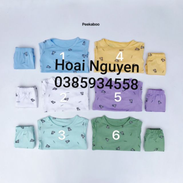 Bộ thun lạnh peekapoo