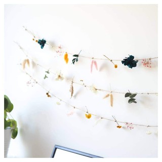 Set Hoa Khô Để Làm Rèm Hoa Handmade Dán Tường Trang Trí Phòng