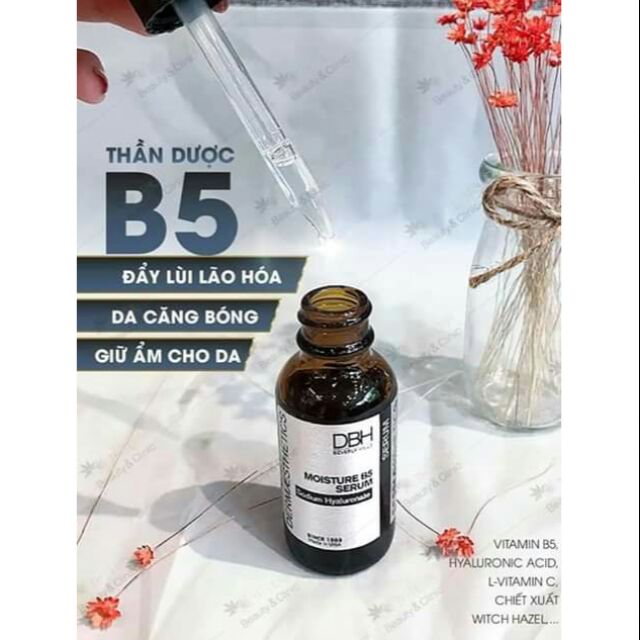 DBH serum B5
