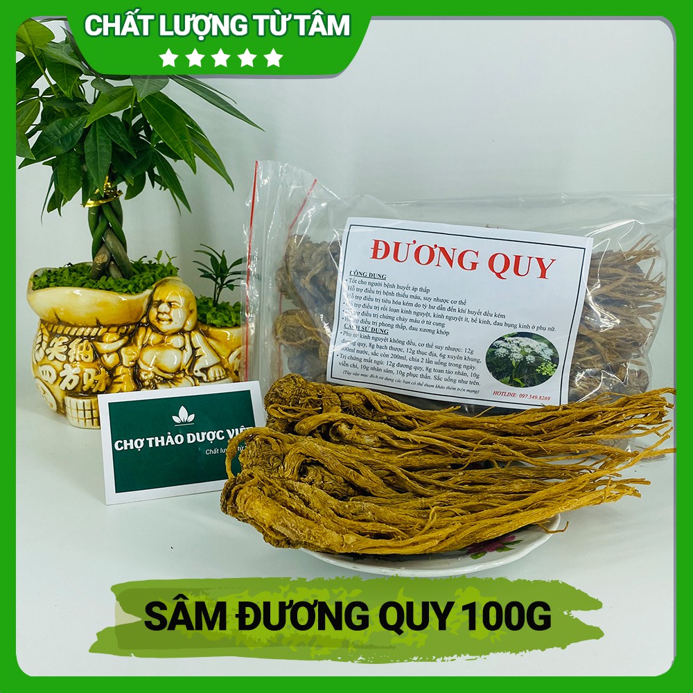 Sâm đương quy 100g (Củ đương quy, đương quy khô, loại 1) - Chợ Thảo Dược Việt