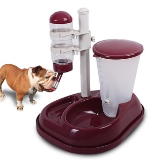 Bộ bình nước và bình thức ăn tự động