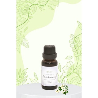 Tinh dầu hoa Oải hương làm thơm không gian, sáng da, giảm nhờn, kích thích tóc mọc.