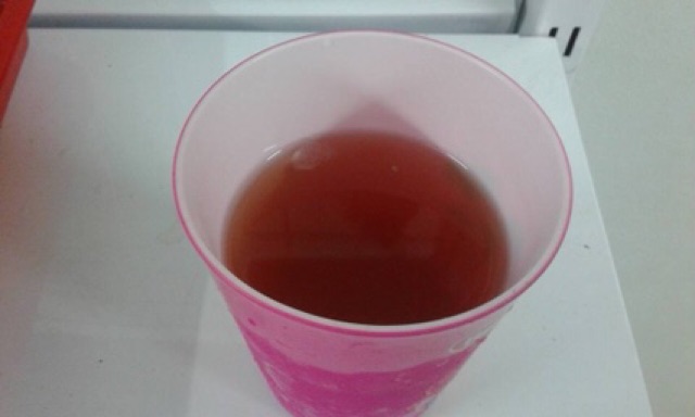 Cà gai leo Hoà Bình hỗ trợ điều trị về gan (có chứng nhận ATTP) | BigBuy360 - bigbuy360.vn