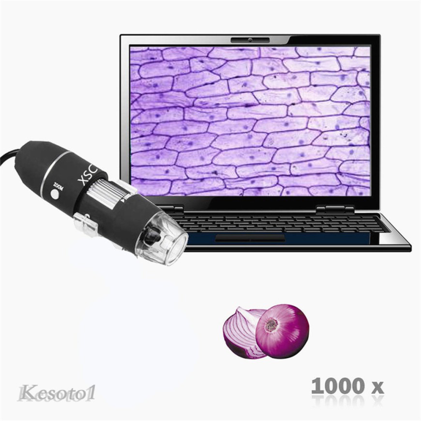 ZOOM Kính Hiển Vi Điện Tử Phóng Đại 1000x 8 Led Usb Kesto1 Kèm Chân Đứng