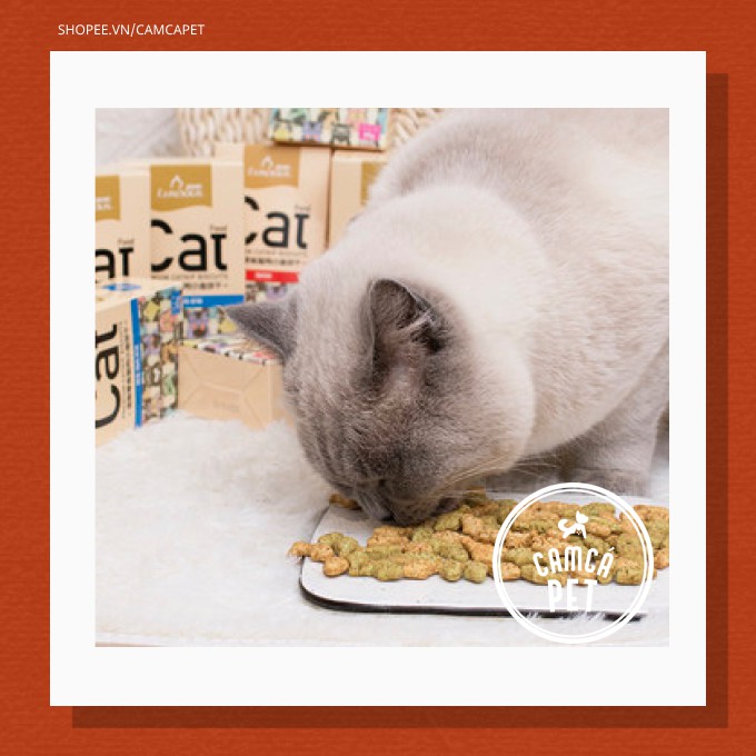 Bánh thưởng Catnip (cỏ mèo) cao cấp tiêu búi lông ĐỦ VỊ | Hộp to 80g | Cam Cá Pet