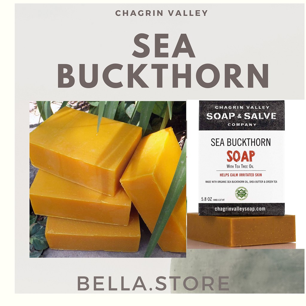 Xà phòng giảm mụn, vẩy nến, chàm Chagrin Valley Sea Buckthorn with Tea Tree Oil