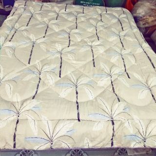 Chăn lông vũ - hàng xuất Hàn Quốc