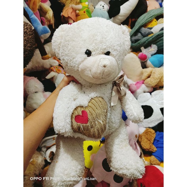 Gấu bông đồng giá 25k