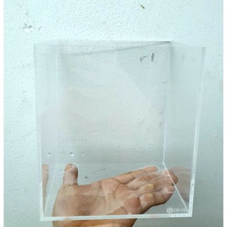hồ show cá cảnh